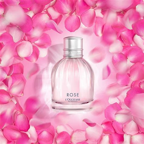 Rose L'Occitane en Provence perfume - a fragrância Feminino 2018