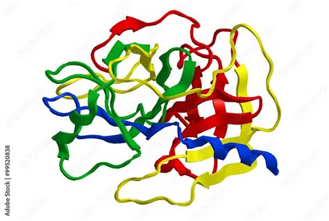 Molecular structure of enzyme trypsin Stock Illustration | Adobe Stock