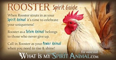 Rooster Symbolism & Meaning | Spirit, Totem & Power Animal