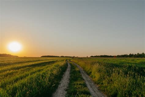 Grassy Field Sunset