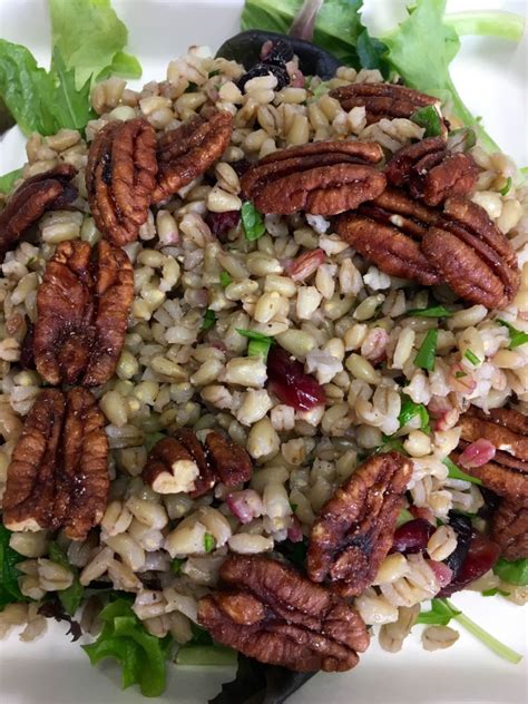 Pearl Barley Salad with Cranberries, Apples & Pecans Blythes Blog