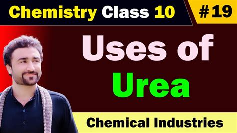 Uses of Urea Class 10 - YouTube