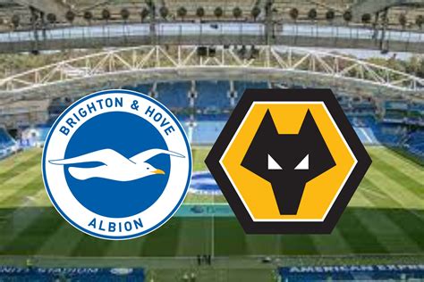 PREVIEW BRIGHTON V WOLVES - Always Wolves