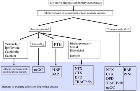 Guidelines for the use of bone metabolic markers in the diagnosis and ...