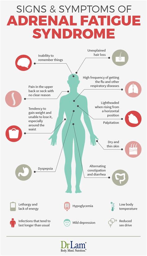 Warning Signs of Adrenal Fatigue Phoenix | Best Adrenal Fatigue Doctors