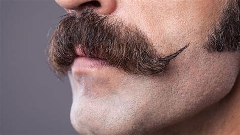 Different Mustache Styles And Grooming | 4Ever Fitness