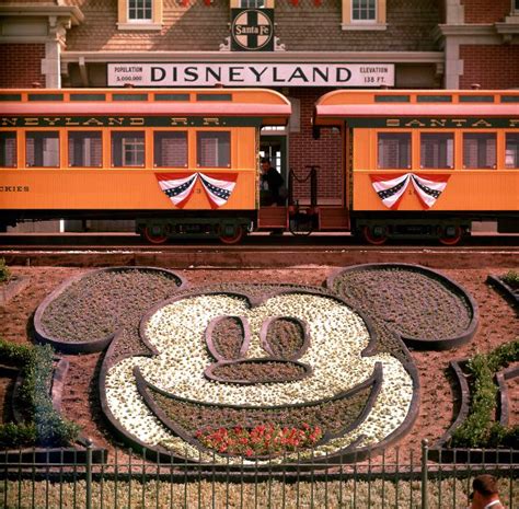 Beautiful Vintage Color Photos of Disneyland on Its Opening Day in 1955 | Vintage News Daily