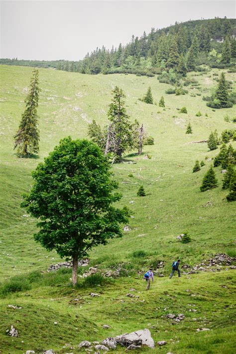 Hiking in Bavaria II on Behance