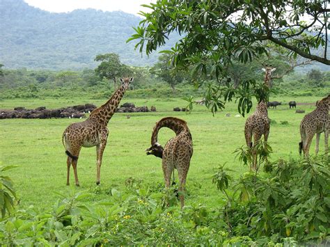 Arusha National Park