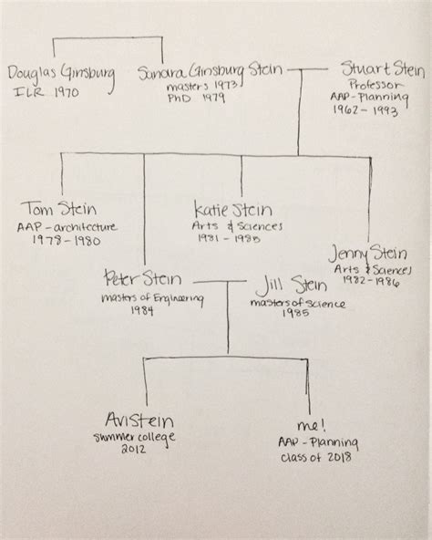 Rachel Stein’s Cornell family tree – Cornell Class of 1973