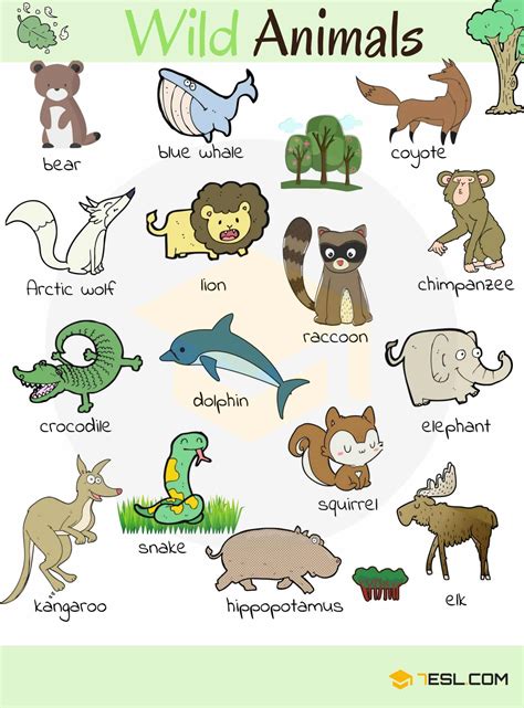 Wild Animal Vocabulary in English - ESLBUZZ