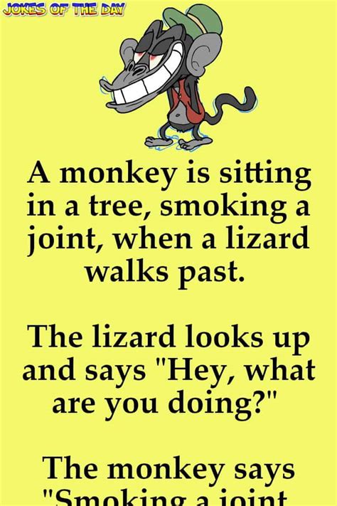 Funny: A monkey is sitting in a tree, smoking a joint, when a… | Jokes Of The Day