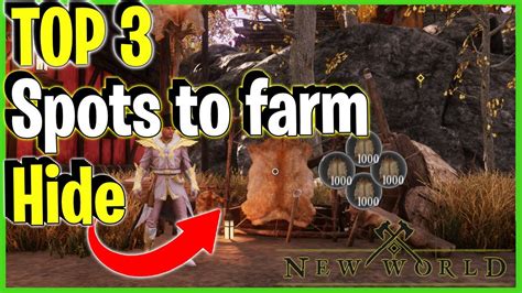 TOP 3 Places to Farm Hide - New World MMO - YouTube