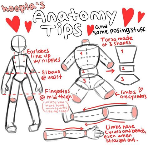 乙𝕆𝔼𝔼 • on Instagram: “I’ve had a few people ask how I draw anatomy so I made this. This isn’t ...