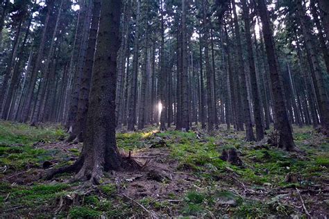 MYSTERIOUS PLACES : The Shennongjia Forest China