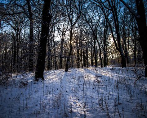 Winter Forest Landscape Wallpapers - Wallpaper Cave