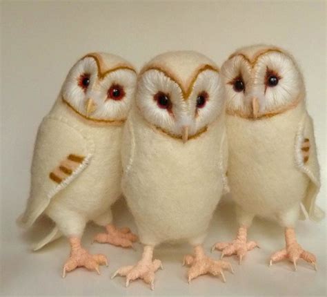 three more baby barn owls - a photo on Flickriver