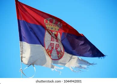 Serbian Eagle Images, Stock Photos & Vectors | Shutterstock