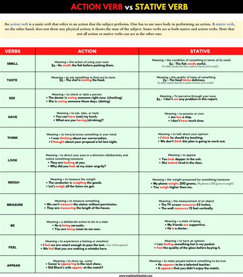 Stative verbs guide: usages, examples, types and list