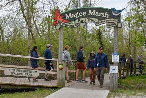 Remodeled Magee Marsh Visitor Center opens for Bird Ohio Day