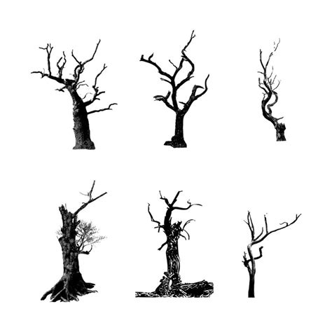 Premium Vector | Dead tree silhouette