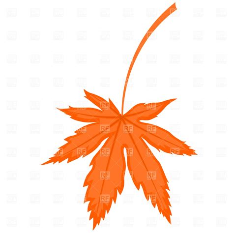 Free Maple Leaf Vector, Download Free Maple Leaf Vector png images, Free ClipArts on Clipart Library