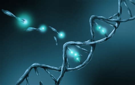 Isolation of circulating cell free DNA | Scientist Live