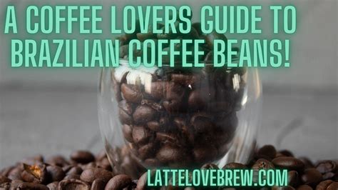 A Coffee Lovers Guide To Brazilian Coffee Beans! - Latte Love Brew