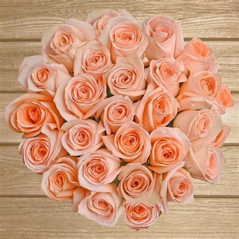 Peach Roses - EbloomsDirect – Eblooms Farm Direct Inc.