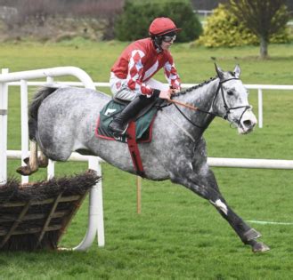 “Wow That’s Unreal”: Caldwell Potter Smashes National Hunt Auction Record Leaving Horse Racing ...