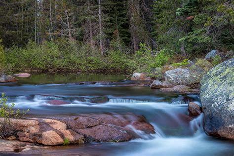 Stanislaus River Campground | The Dyrt