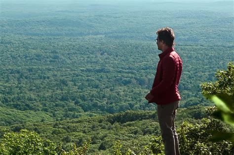 The Sea of Trees Puts Matthew McConaughey in Japan's Suicide Forest ...