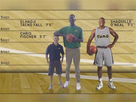 Shaq Hands Comparison