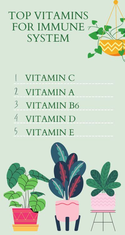 Best Vitamins and Supplements For Boosting Immunity | Welltopia Compounding Pharmacy