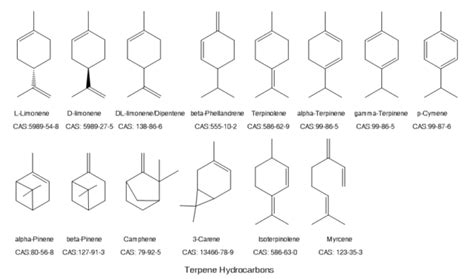 Dipentene, an effective, safe, biodegradable cleaning and degreasing ...