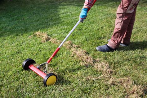 How to Winterize Your Lawn With Fertilizer | HappySprout