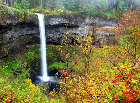 The Road Less Traveled - Silver Falls State Park, Oregon - Road Trips with Tom