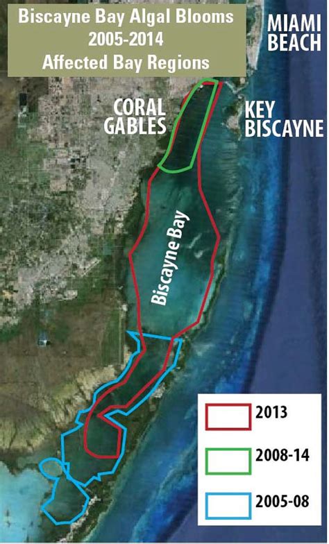 What's Up With The Algae Bloom That Led To Florida's State of Emergency ...