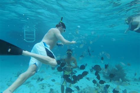 Stingray City Experience Plus Two Snorkeling Stops | Grand cayman, Western caribbean cruise ...