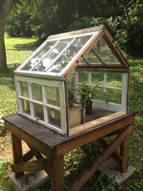 DIY greenhouse from old windows and some screws! | Diy greenhouse, Greenhouse, Backyard greenhouse