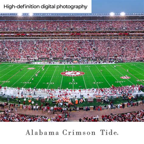 Alabama Crimson Tide Football Night Game Panoramic Picture - Bryant ...