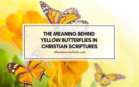 Spiritual Yellow Butterfly Meaning In The Bible