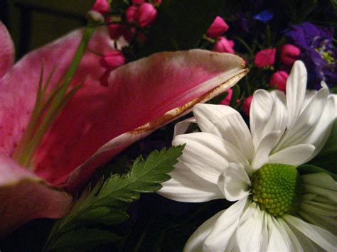 funeral flowers | Timothy Vollmer | Flickr