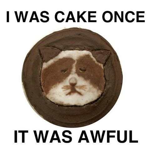 11 National Cake Day 2018 Memes That Will Make You Super Hungry