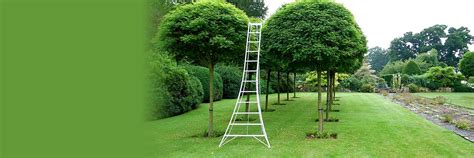 Tripod Ladders – Hasegawa Ladders