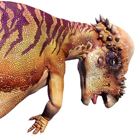 Pachycephalosaurus | Pachycephalosaurus Facts | DK Find Out