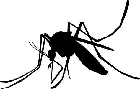 Mosquito Schnake Sting Mosquito Png Black And White - Clip Art Library