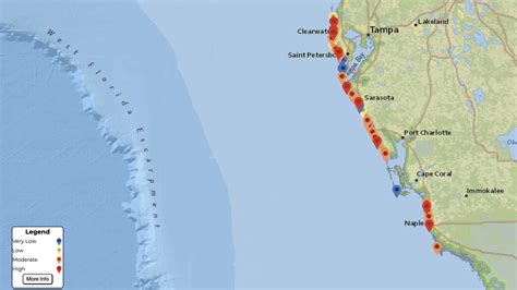 Florida Red Tide Rises Ahead Of Spring Break | Weather.com