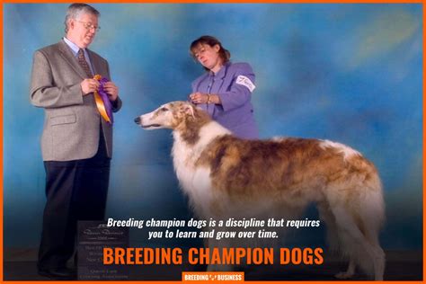 How To Breed Champion Dogs – Genetics, Goal, Breed Standard & FAQ