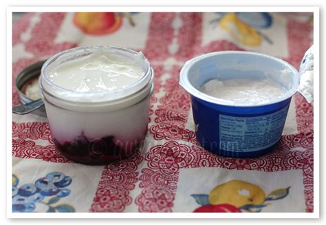 Homemade Fruit Bottom Yogurt Recipe - Gwen's Nest